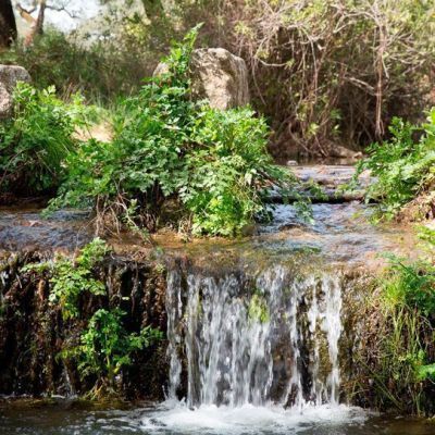 agua-para-las-dehesas-de-aracena-17-aldeas-jamones
