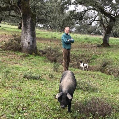 cochinos pata negra dehesa la lima aracena