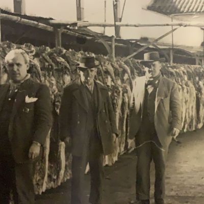 historias del jamon de jabugo